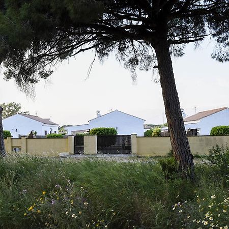 Villas Perez Zara Conil De La Frontera Εξωτερικό φωτογραφία